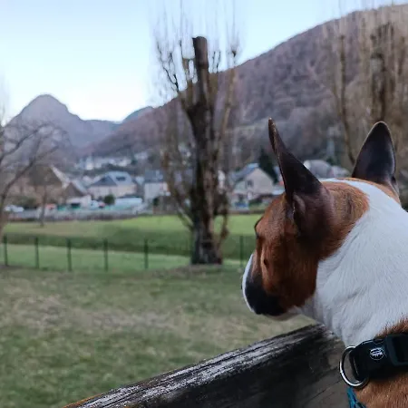 4 Le Cerf Chalet Cierp