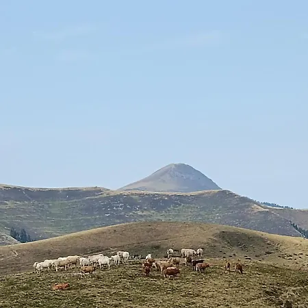 Chalet 4 Le Cerf Cierp